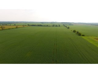 Property photo 17 - IMPORTANT OHIO LAND AUCTION - 325.5+/- ACRES OFFERED IN 8 TRACTS IN PICKAWAY COUNTY, OHIO